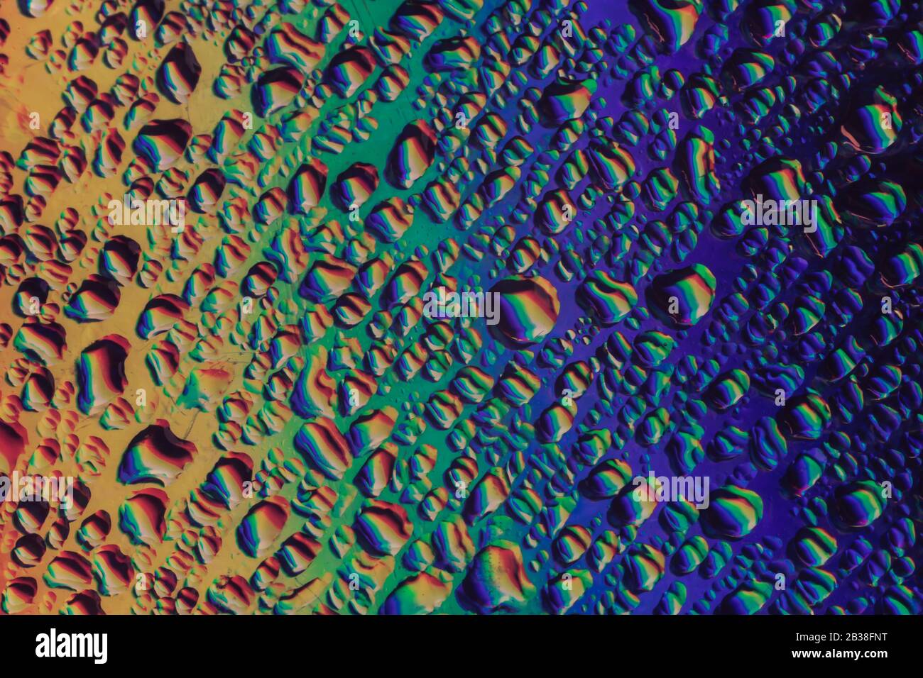 Multi Coloured Water Transfer Texture Patterns photo