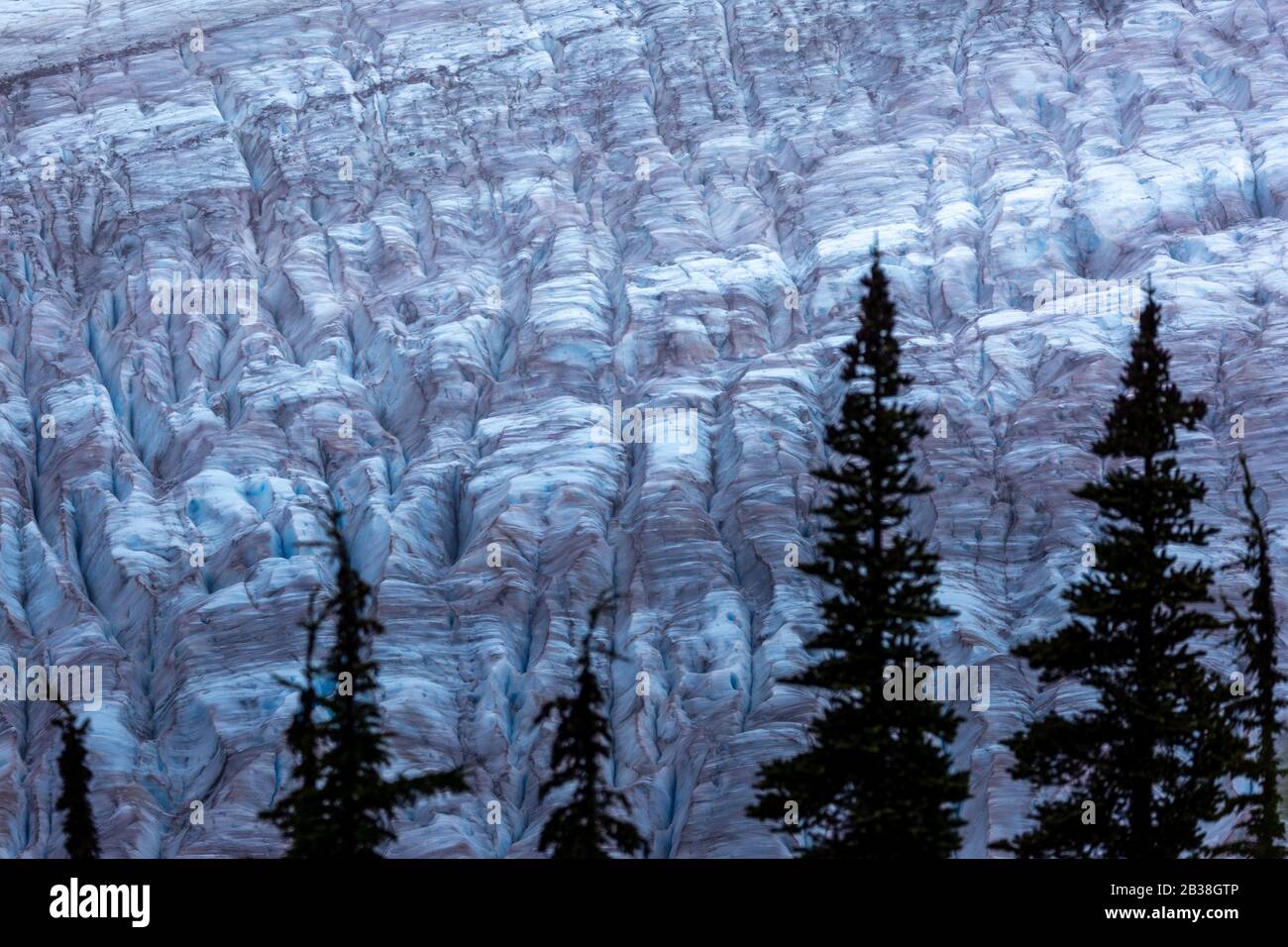 Salmon Glacier, Stewart, British Columbia, Canada. Moody scene close up details, background textures Stock Photo