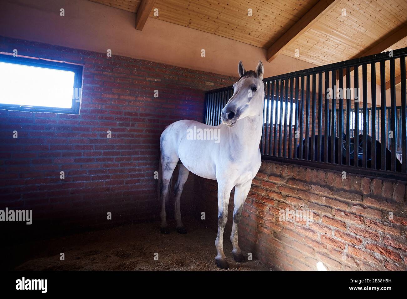 Katchreti, Georgia Stock Photo