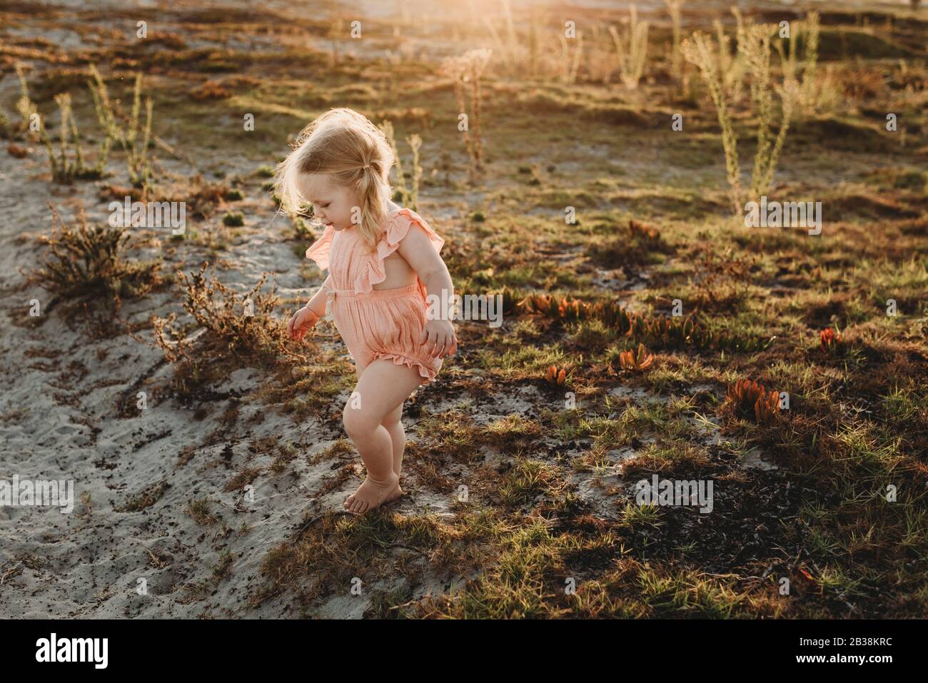 Lifestyle portrait of toddler girl walking away at beach sunset Stock Photo
