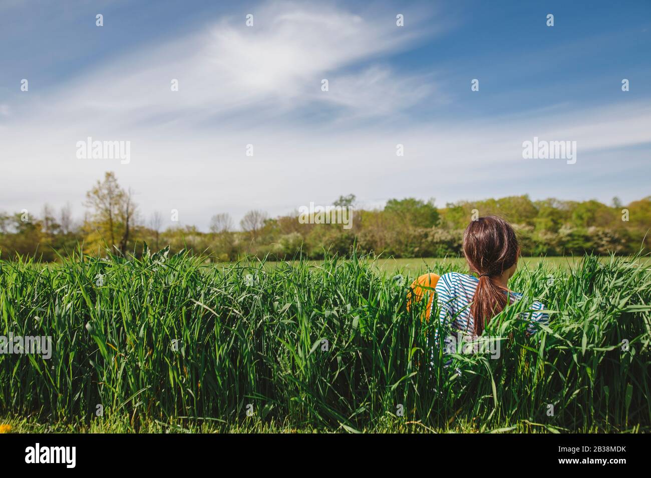 Rear view of girl sitting in tall grassy field against bright blue sky Stock Photo