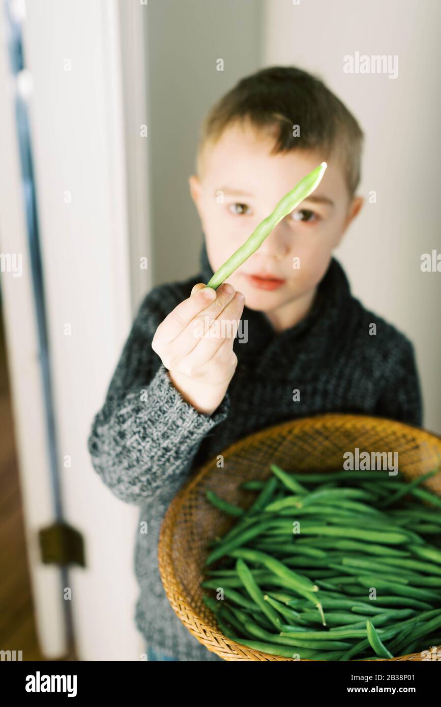 Child holding bean seed hires stock photography and images Alamy