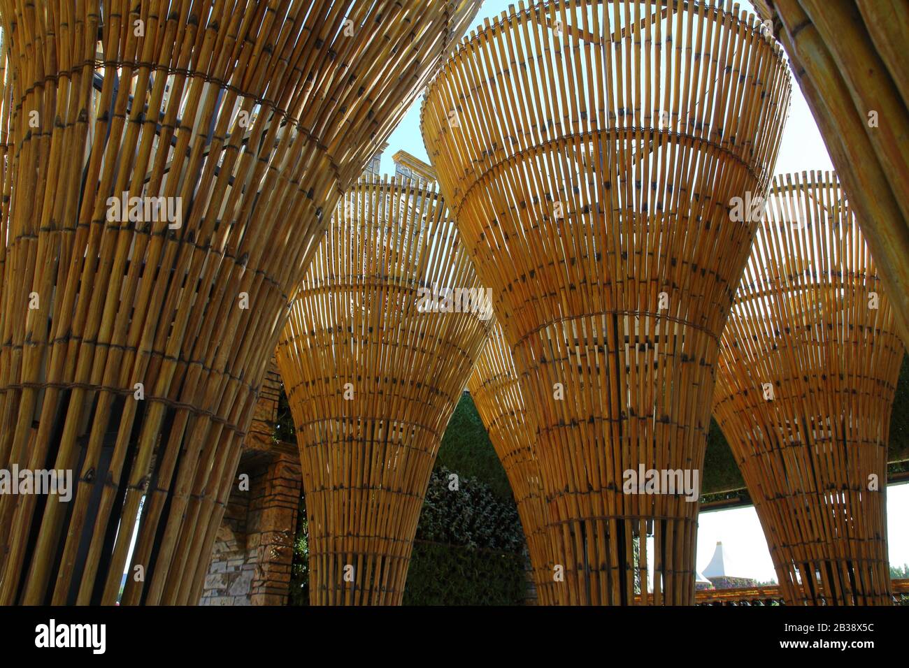 Wooden ceiling with woven straw Stock Photo Alamy