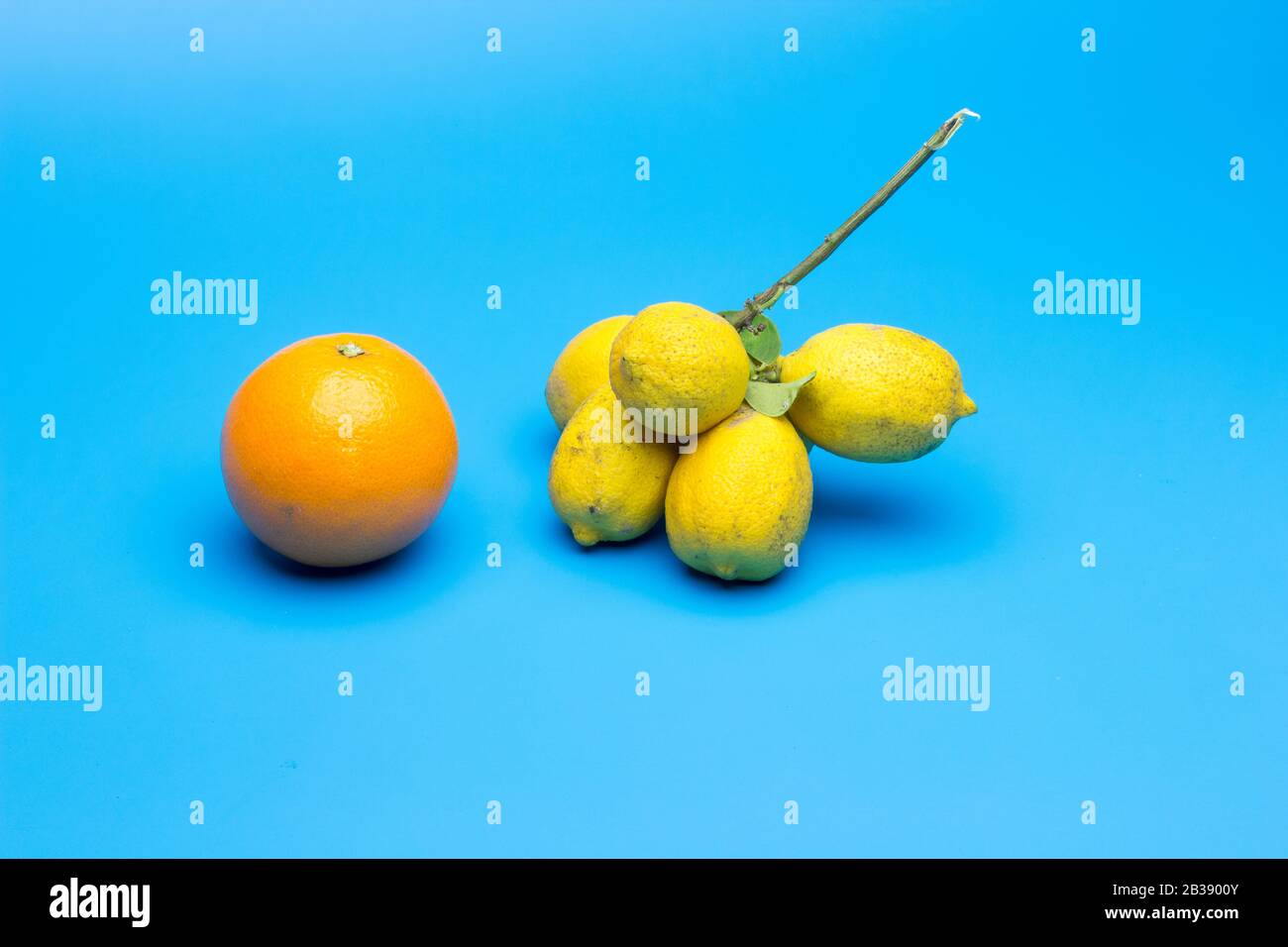 Citrus fruits, oranges and lemons, orange peel oranges and lemon peel