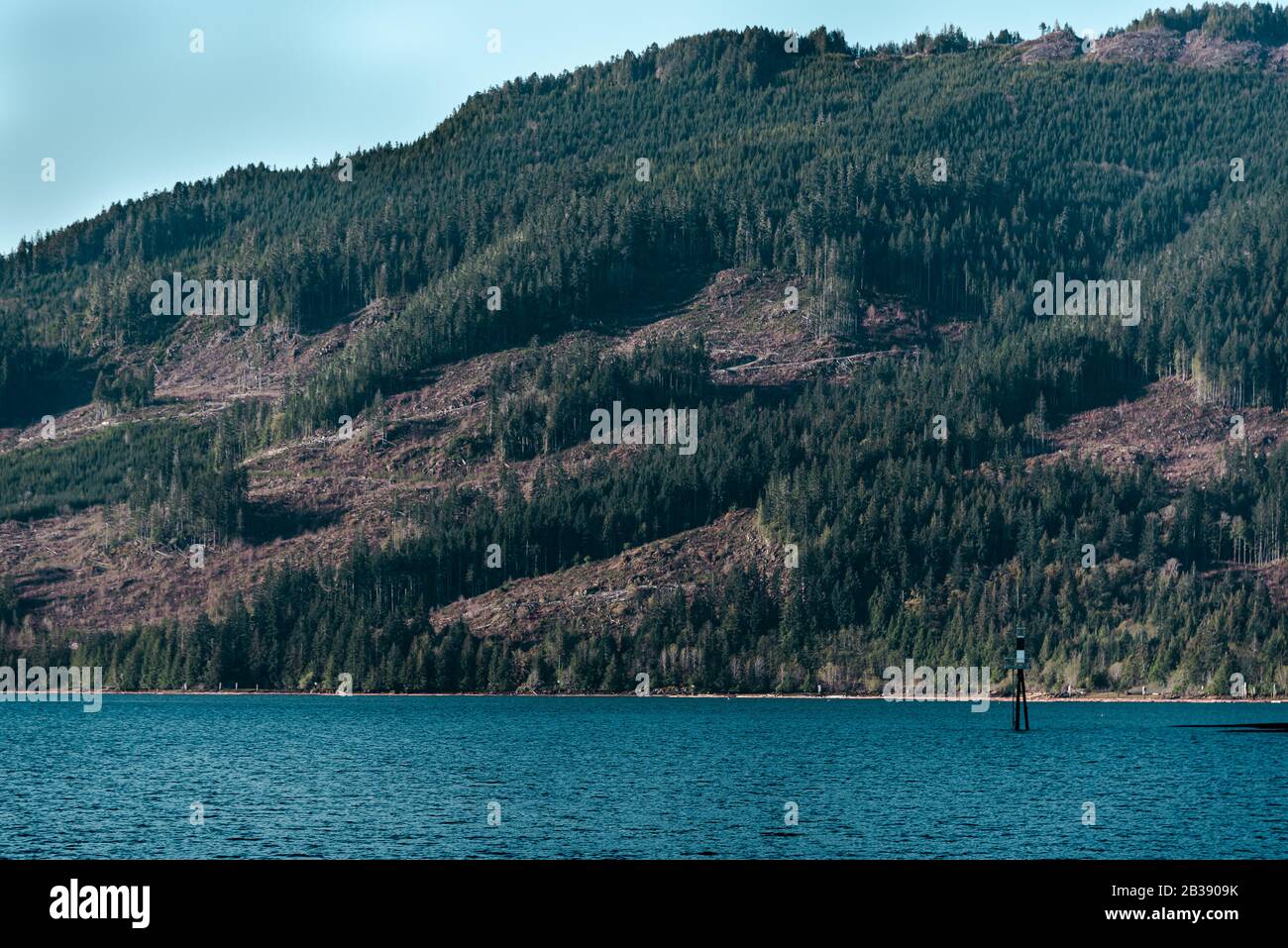 Deforestation Along the Alberni Inlet, Vancouver Island, British Columbia, Canada Stock Photo