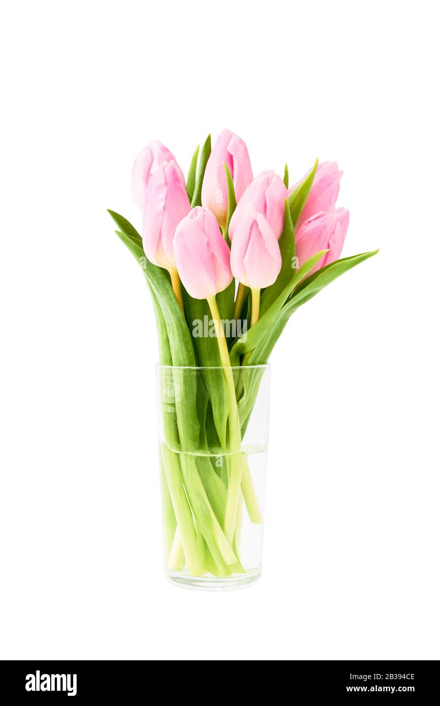 Bouquet of pink tulips in glass flower vase, isolated over white ...