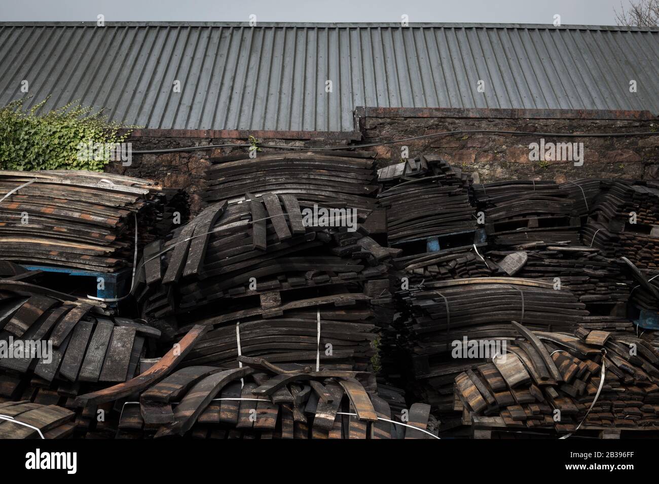 Casks and staves in the yard at the cooperage of Springbank single malt whisky distillery, in Campbeltown, Scotland. Stock Photo