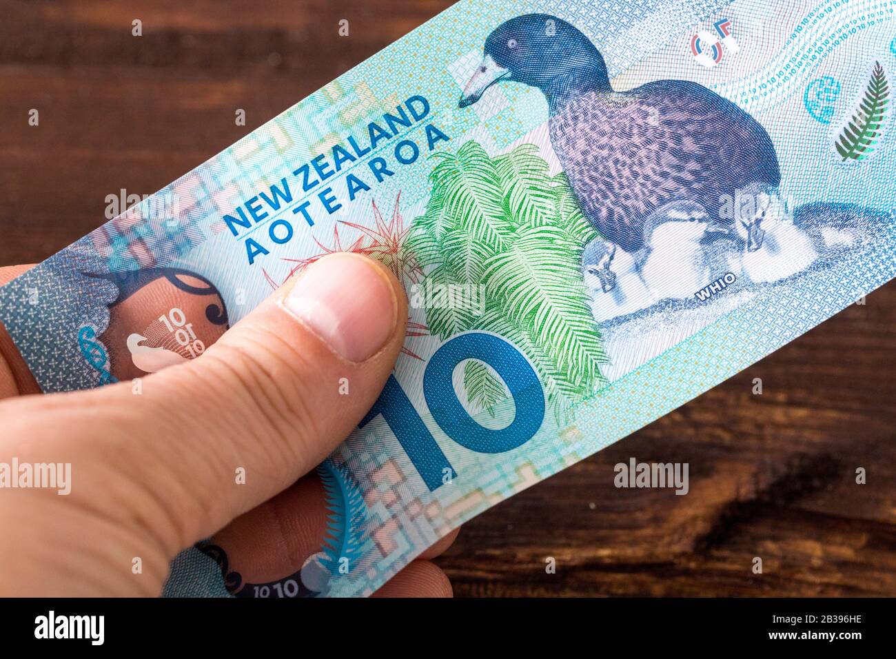 New Zealand 10 dollar banknote in hand Stock Photo