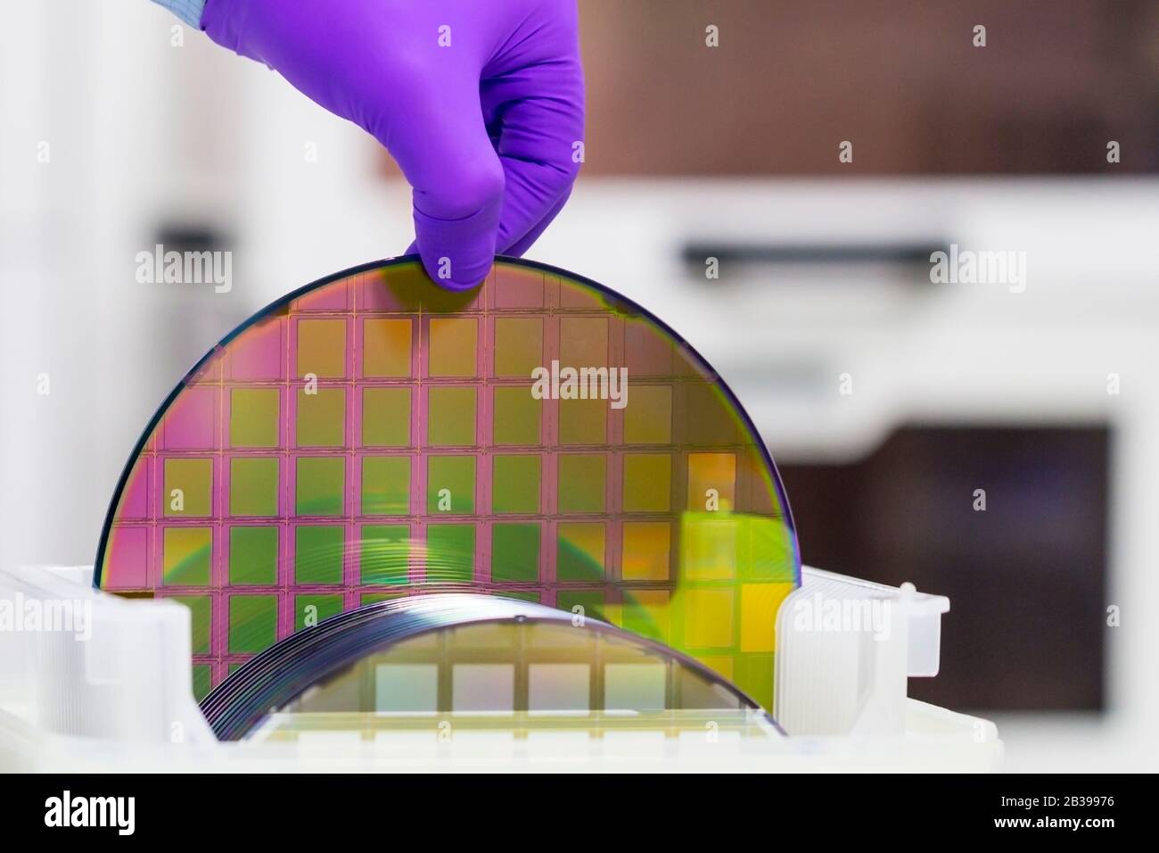 Silicon Wafer with semiconductors in plastic white storage box take out by hand in gloves inside clean room. Stock Photo