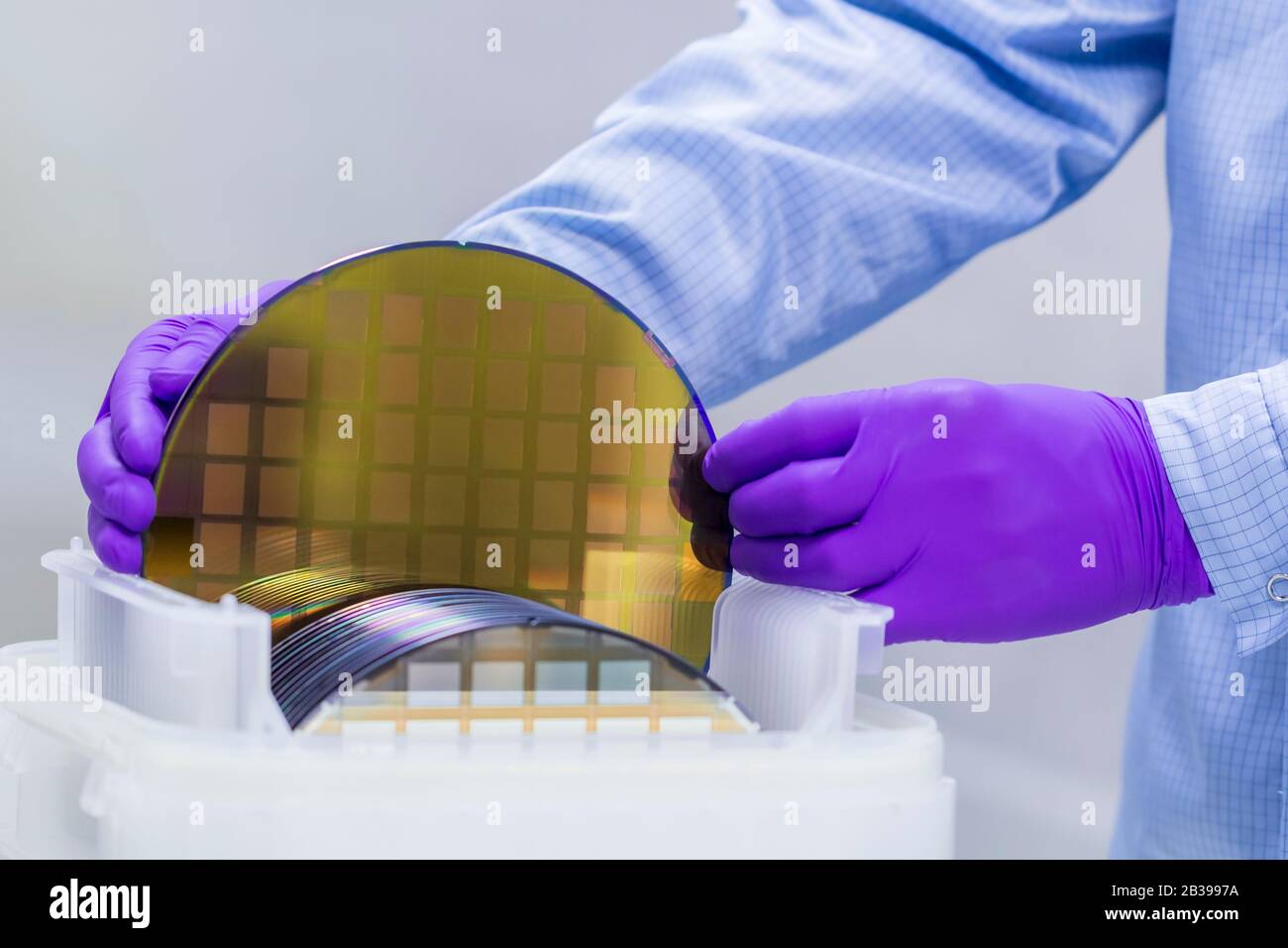 Silicon Wafer with semiconductors in plastic white storage box take out by hand in gloves inside clean room. Stock Photo