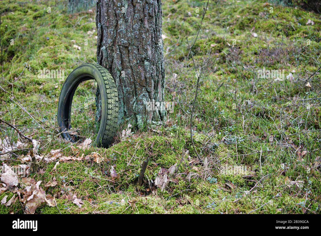 Garbage in garbage out hires stock photography and images Alamy