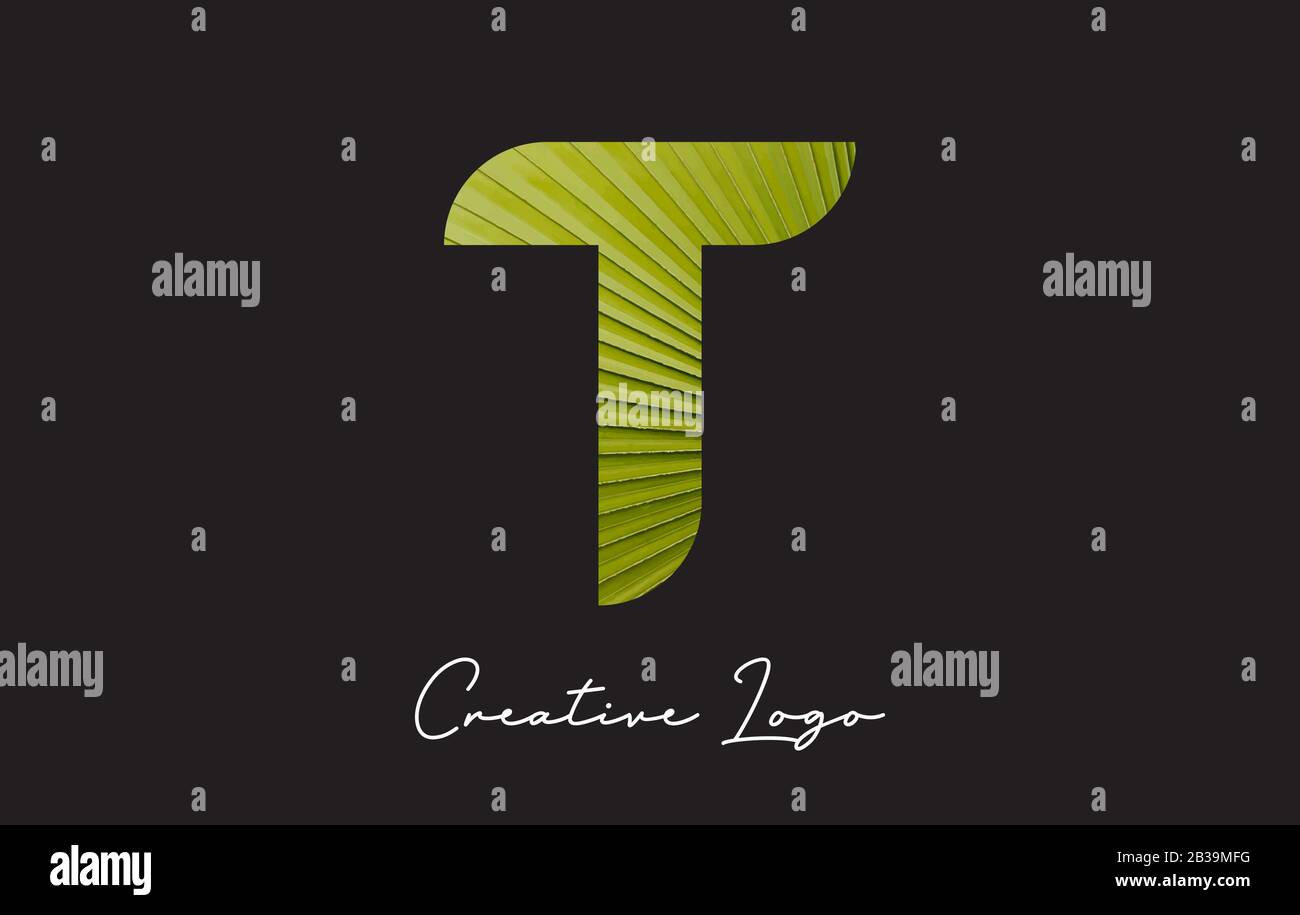 T Letter Logo with Palm Tree Leaf Pattern Design Vector Illustration