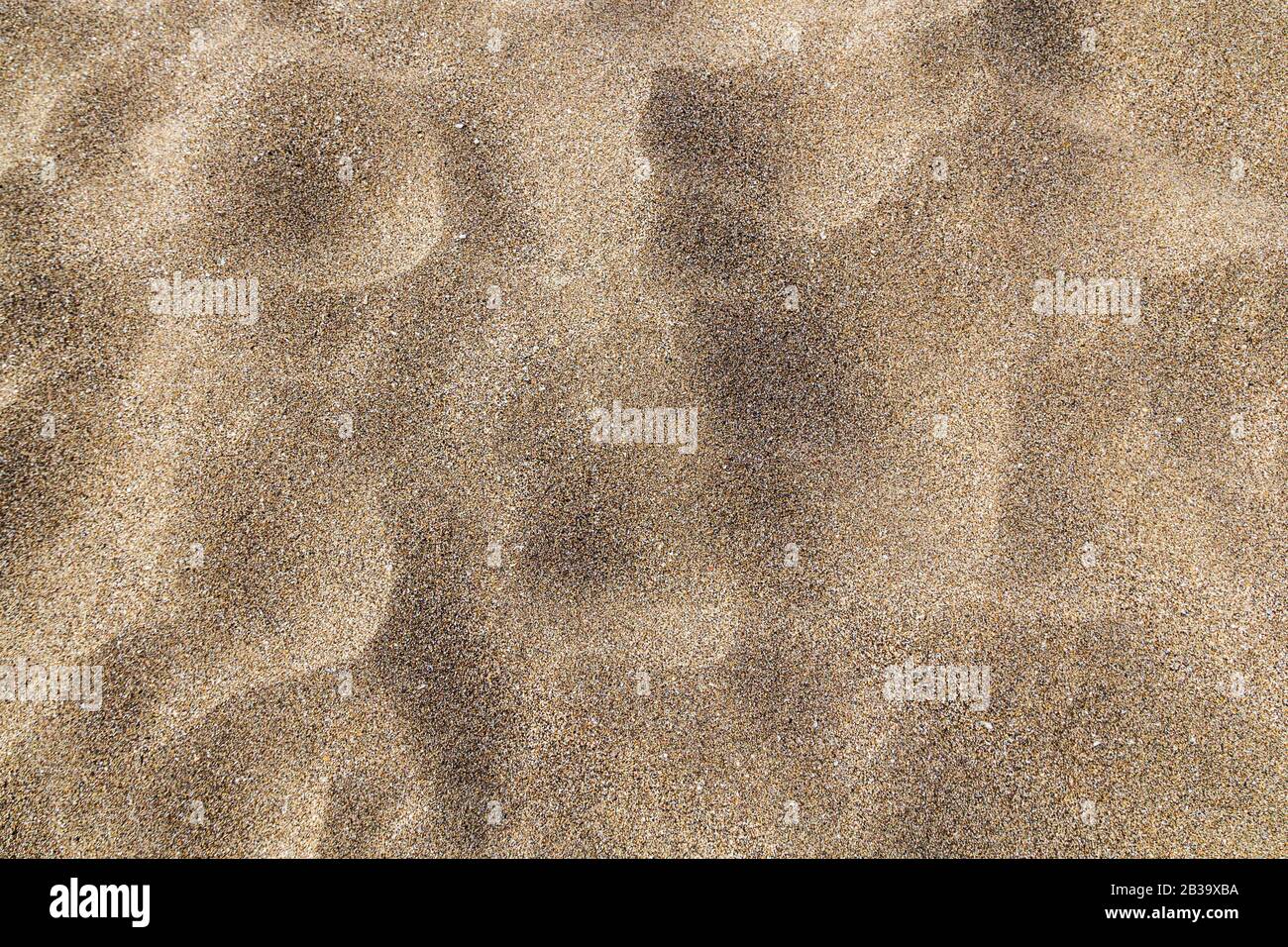 Sand dune ecology hi-res stock photography and images - Page 14