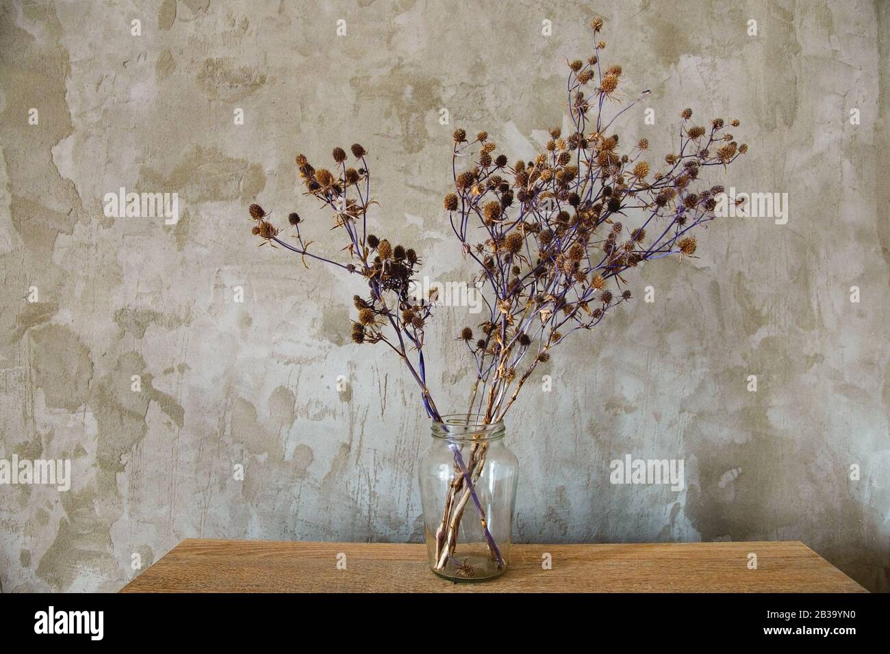 thistle bouquet of dried flowers on a concrete wall background Stock Photo