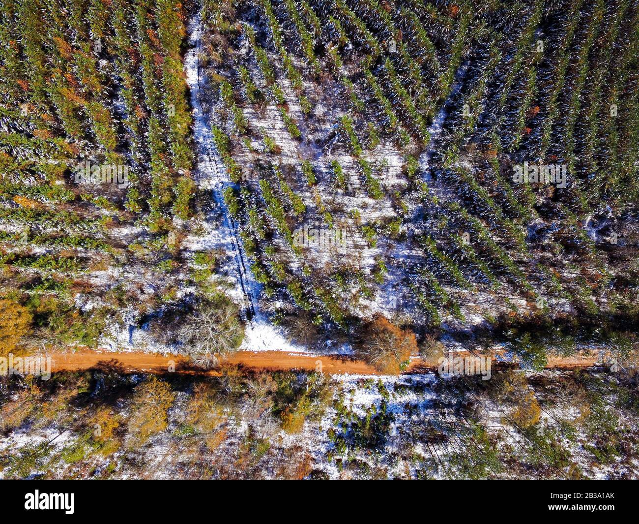 Bird's eye view of trees, trails, and fields Stock Photo - Alamy