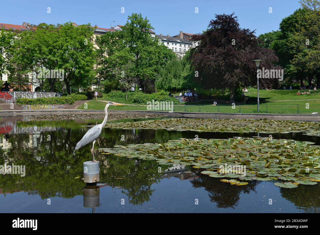 Park am Weinberg, Brunnenstrasse, Mitte, Berlin, Deutschland Stock Photo