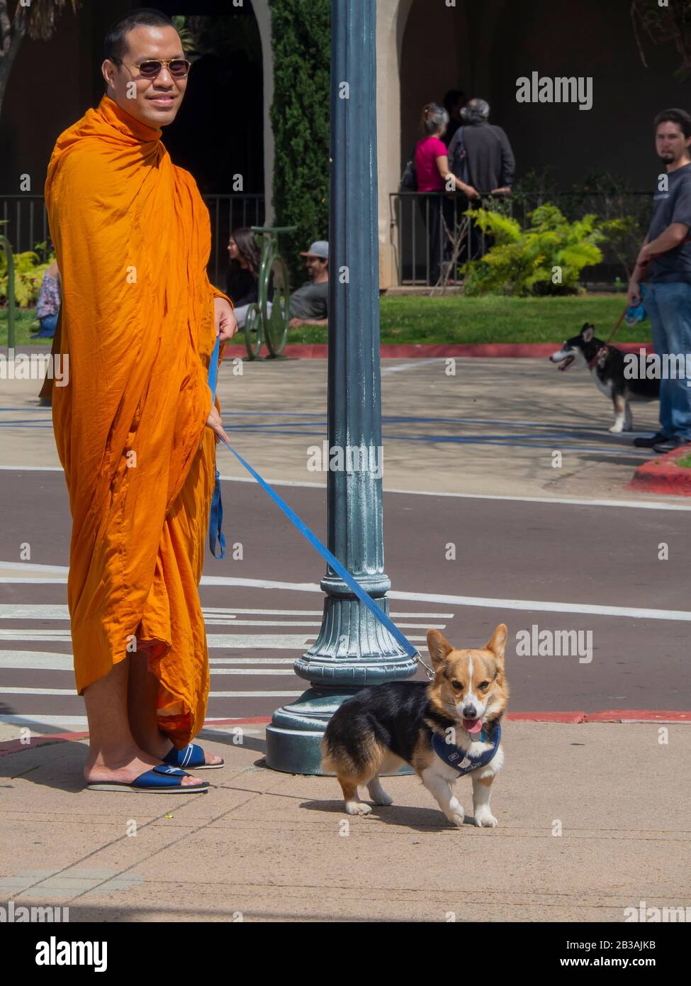 Can You Walk Your Dog In Balboa Park