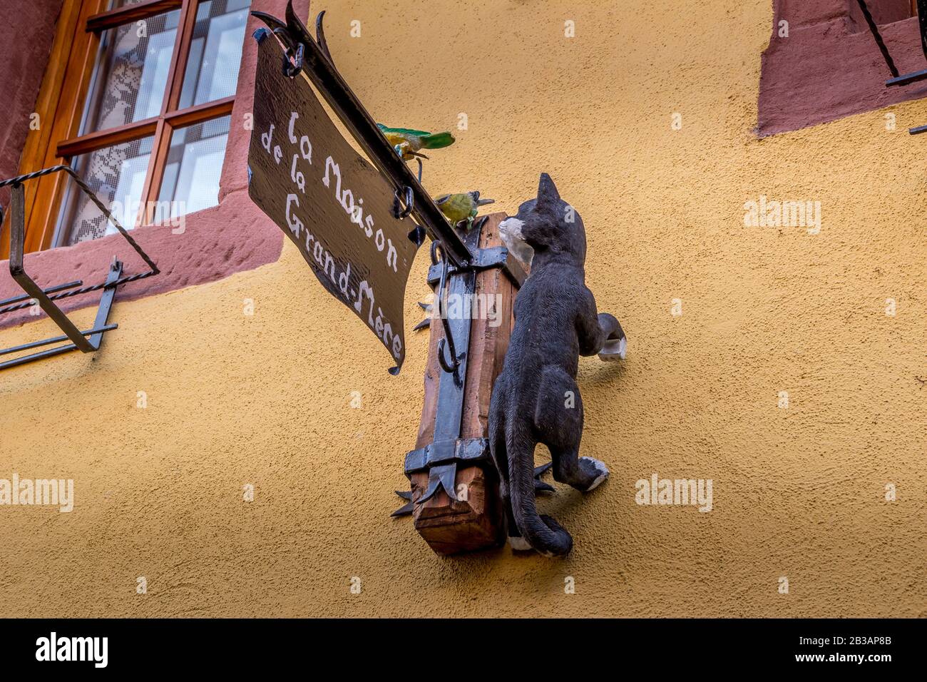 Eguisheim / Alsace, France - 16 sep. 2015: Beautiful view of charming street scene with . Cat on a wall Stock Photo