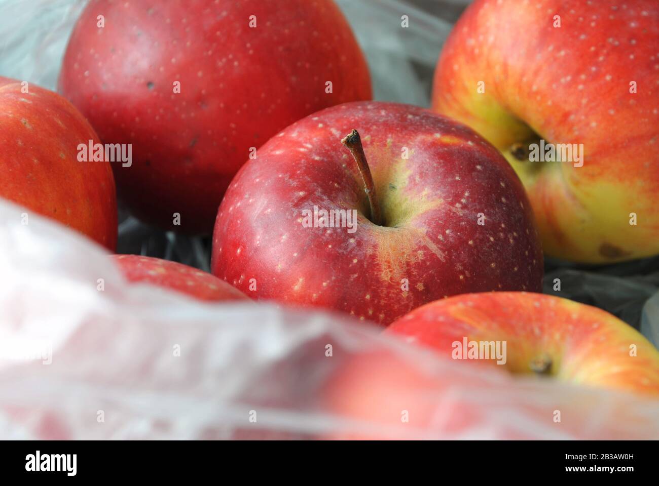 Fresh natural organic red apples in a polyethylene plastic transparent clear white bag from supermarket Stock Photo