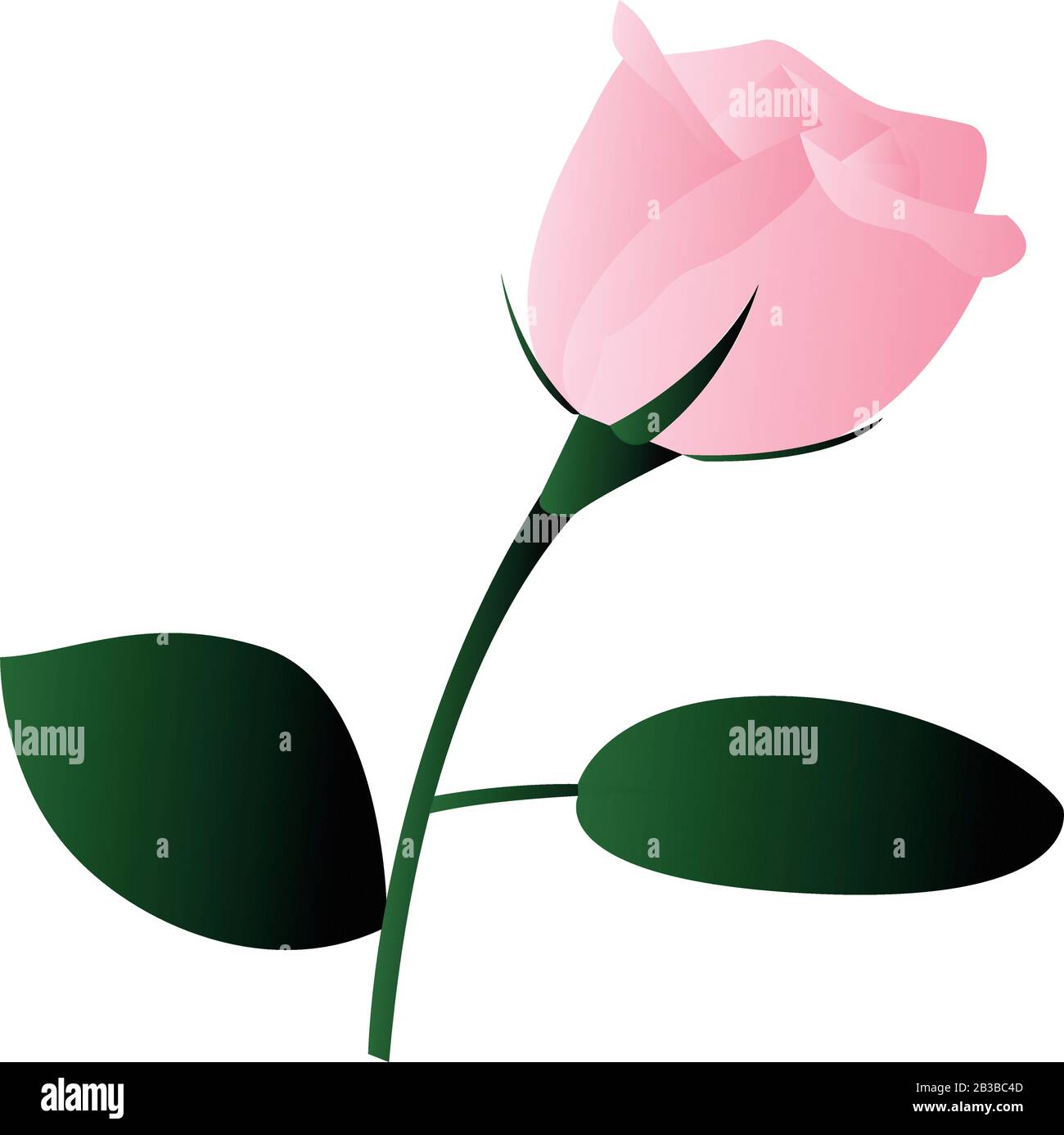 Isolated Pink Rose Stock Vector Image And Art Alamy 4675