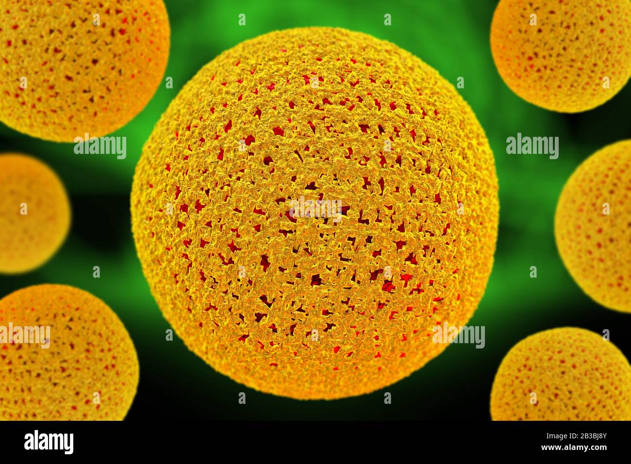Palynology hi-res stock photography and images - Alamy
