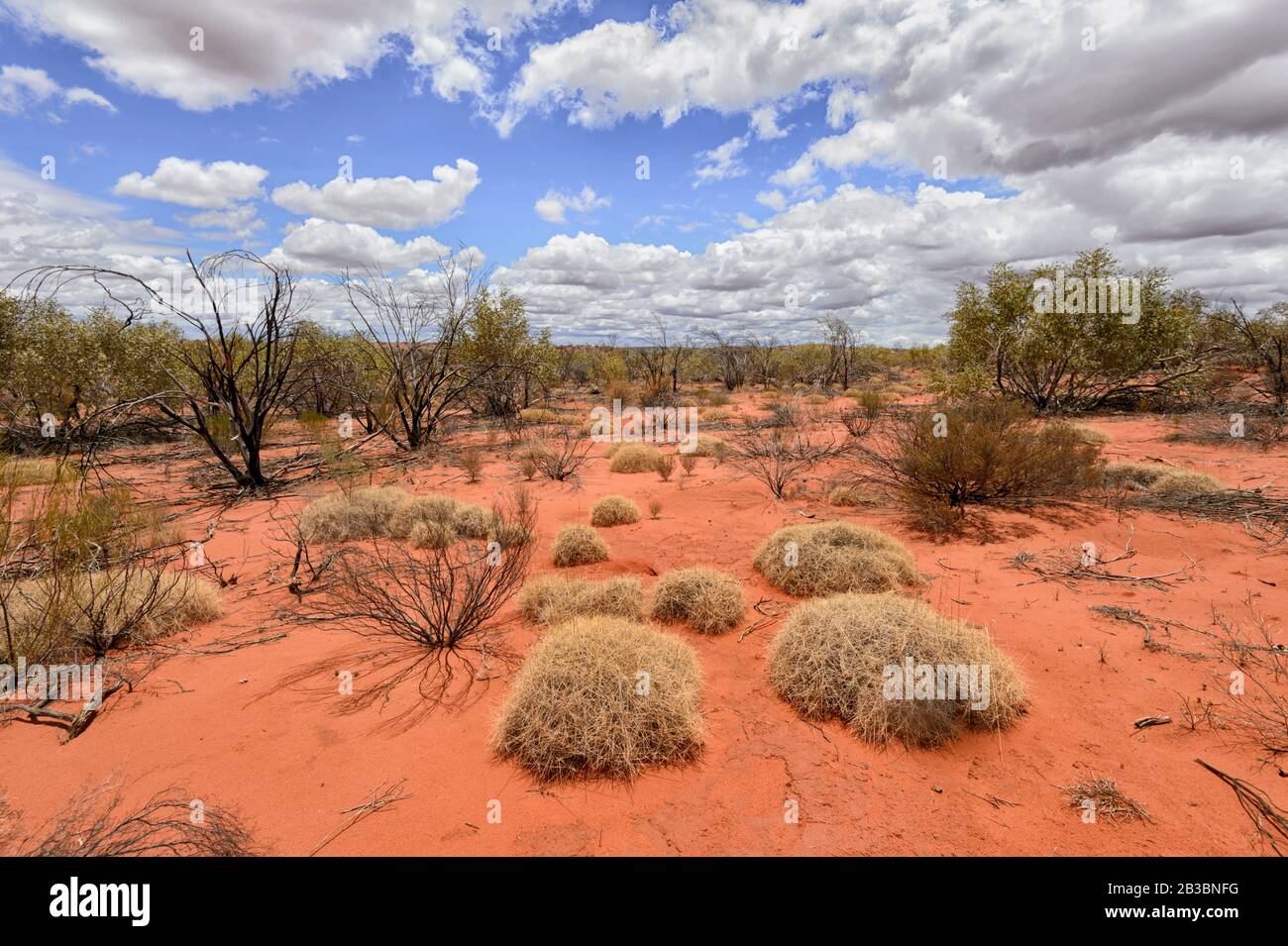 Stunning Outback landscape with red dirt and spinifex along the Stuart Highway, Northern Territory, NT, Australia Stock Photo