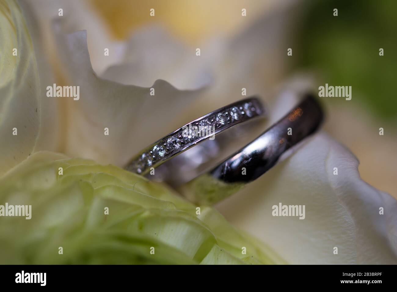 The wedding bouquet and silver rings. Shallow DOF Stock Photo