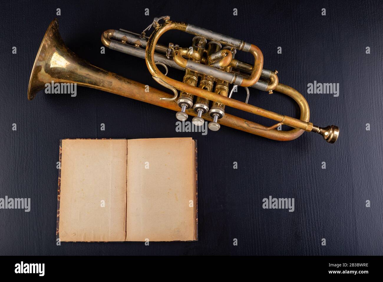 Loss covered with patina trunk and an open book. Musical instrument on ...