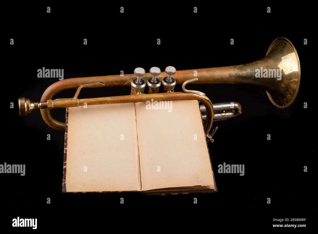 Loss covered with patina trunk and an open book. Musical instrument on ...