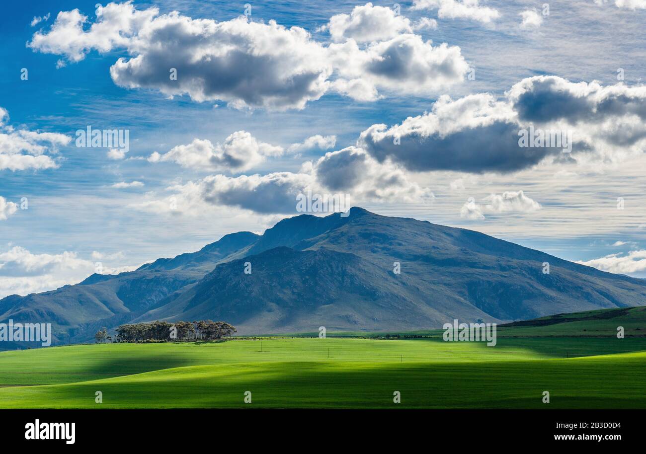 Mountains on a sunny day with clouds on the sky. A view of the Riviersonderend Mountains. Overberg. South Africa. Stock Photo