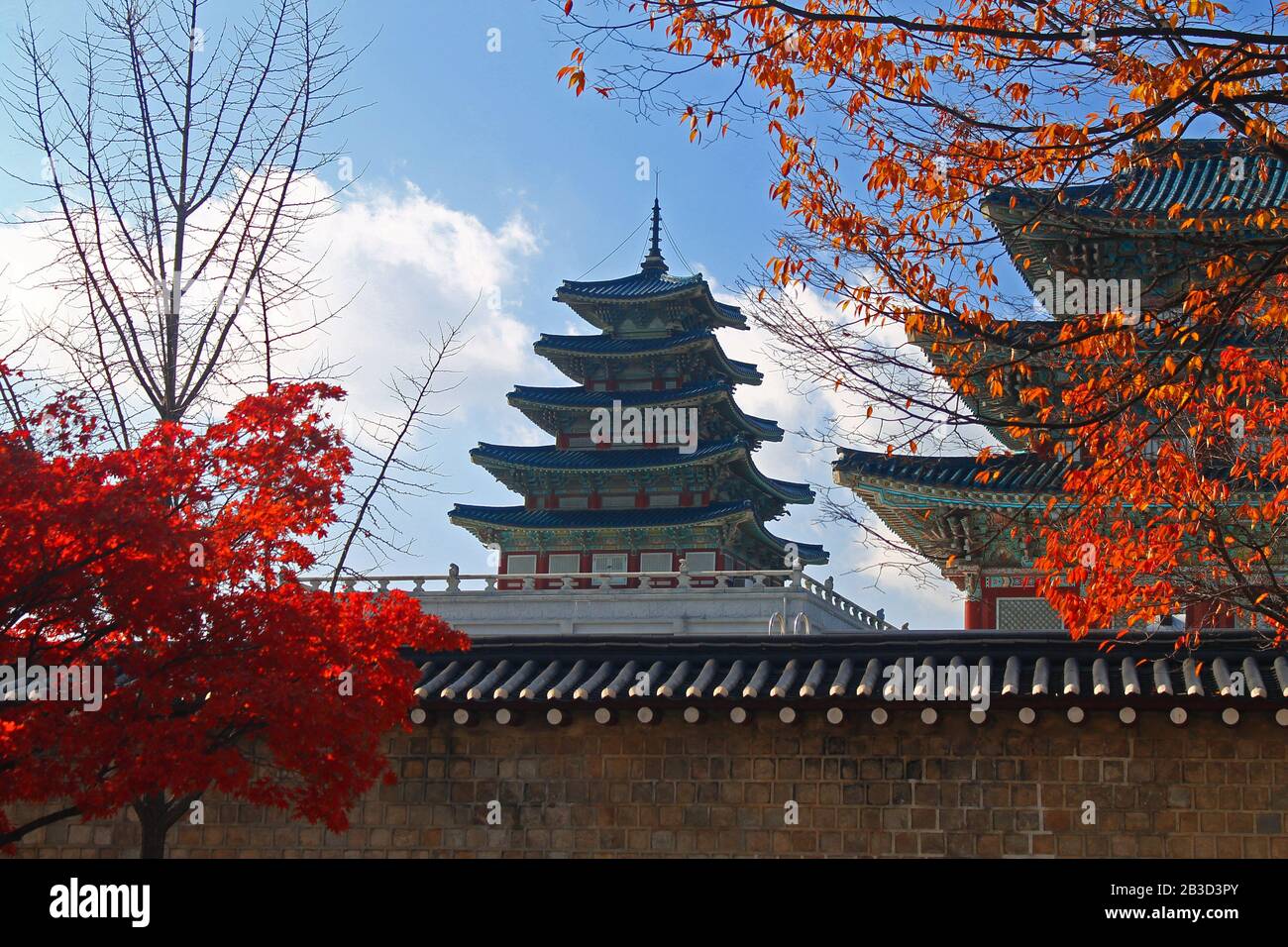 fall-on-the-national-folk-museum-of-korea-stock-photo-alamy