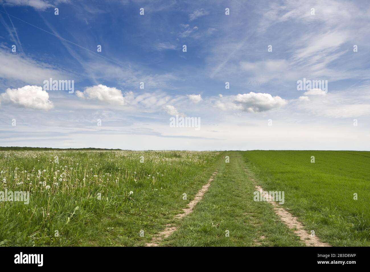 Departure path hi-res stock photography and images - Alamy