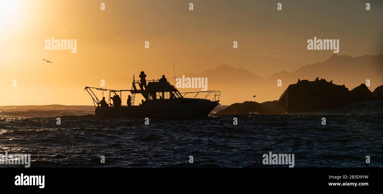 Silhouette of Speed boat in the ocean at sunrise.  South Africa Stock Photo