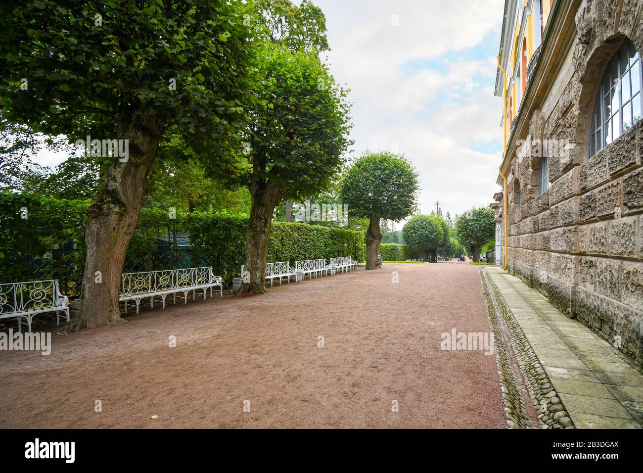 An empty dirt path around Catherine's Palace lined with trees, landscaping and white benches in historic Pushkin Russia. Stock Photo