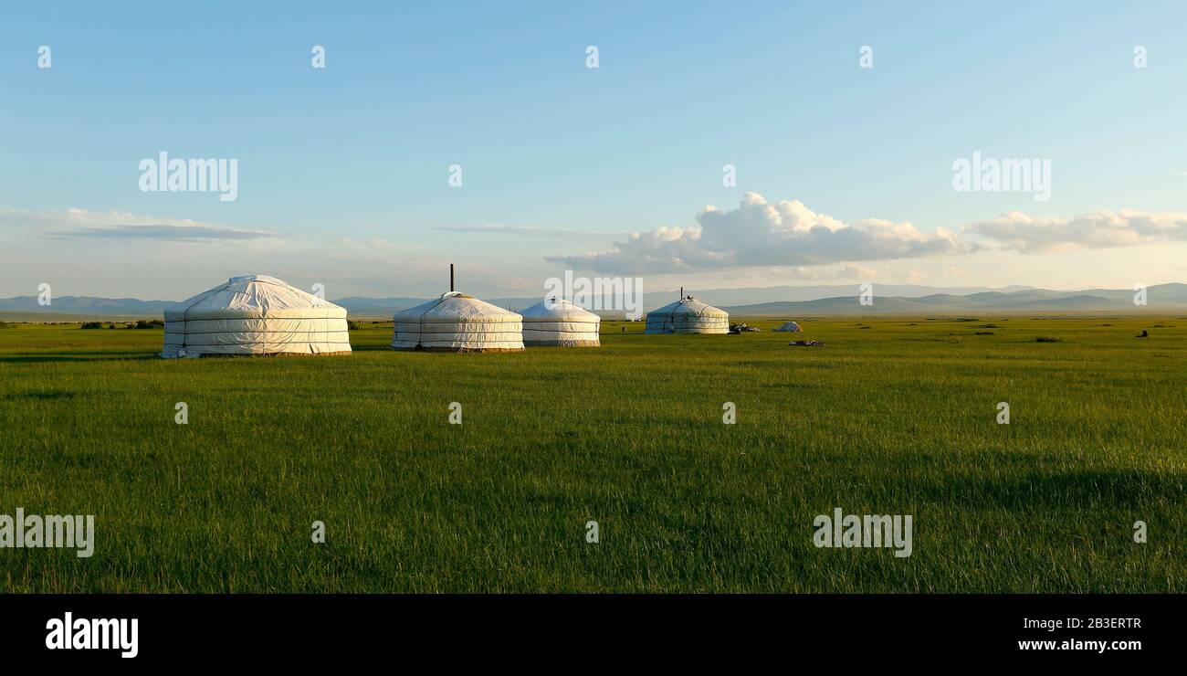 camp of yurt , in the grassland of Mongolia Stock Photo - Alamy