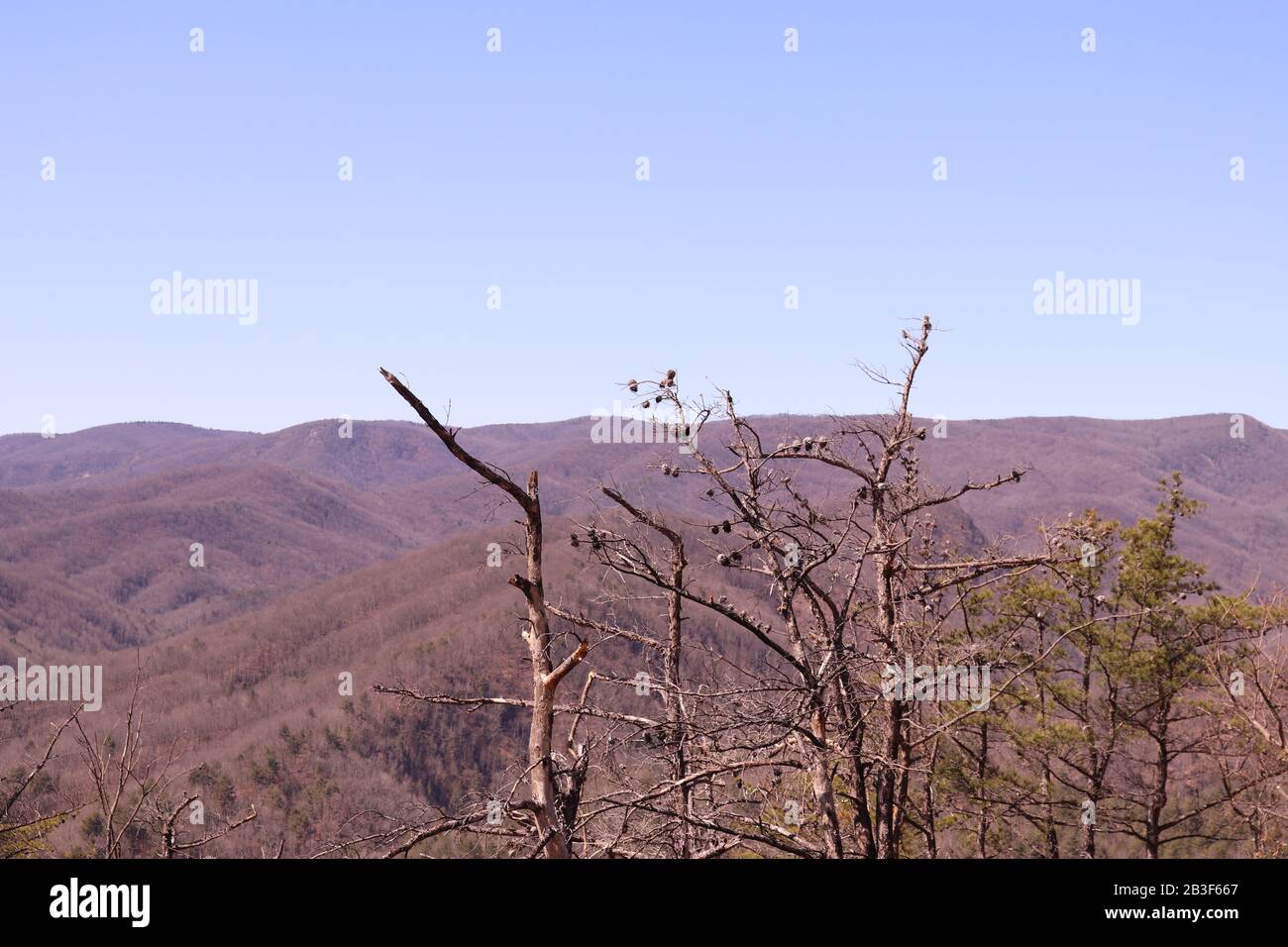 The view from Stone Mountain State Park, Roaring Gap, NC Stock Photo Alamy