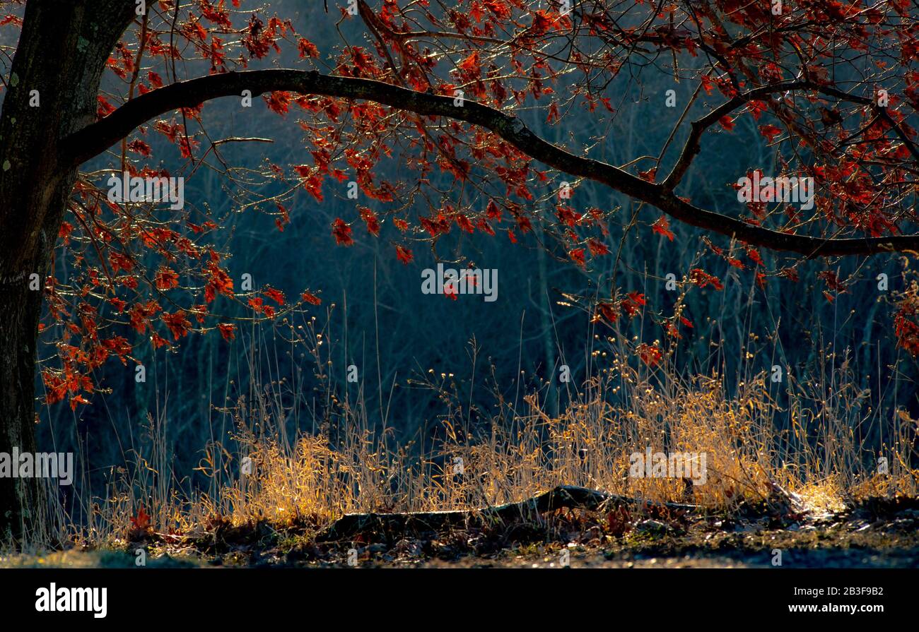 Sun colors hi-res stock photography and images - Alamy