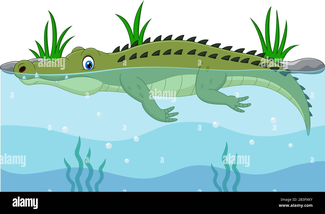 Cartoon green crocodile swimming in the river Stock Vector