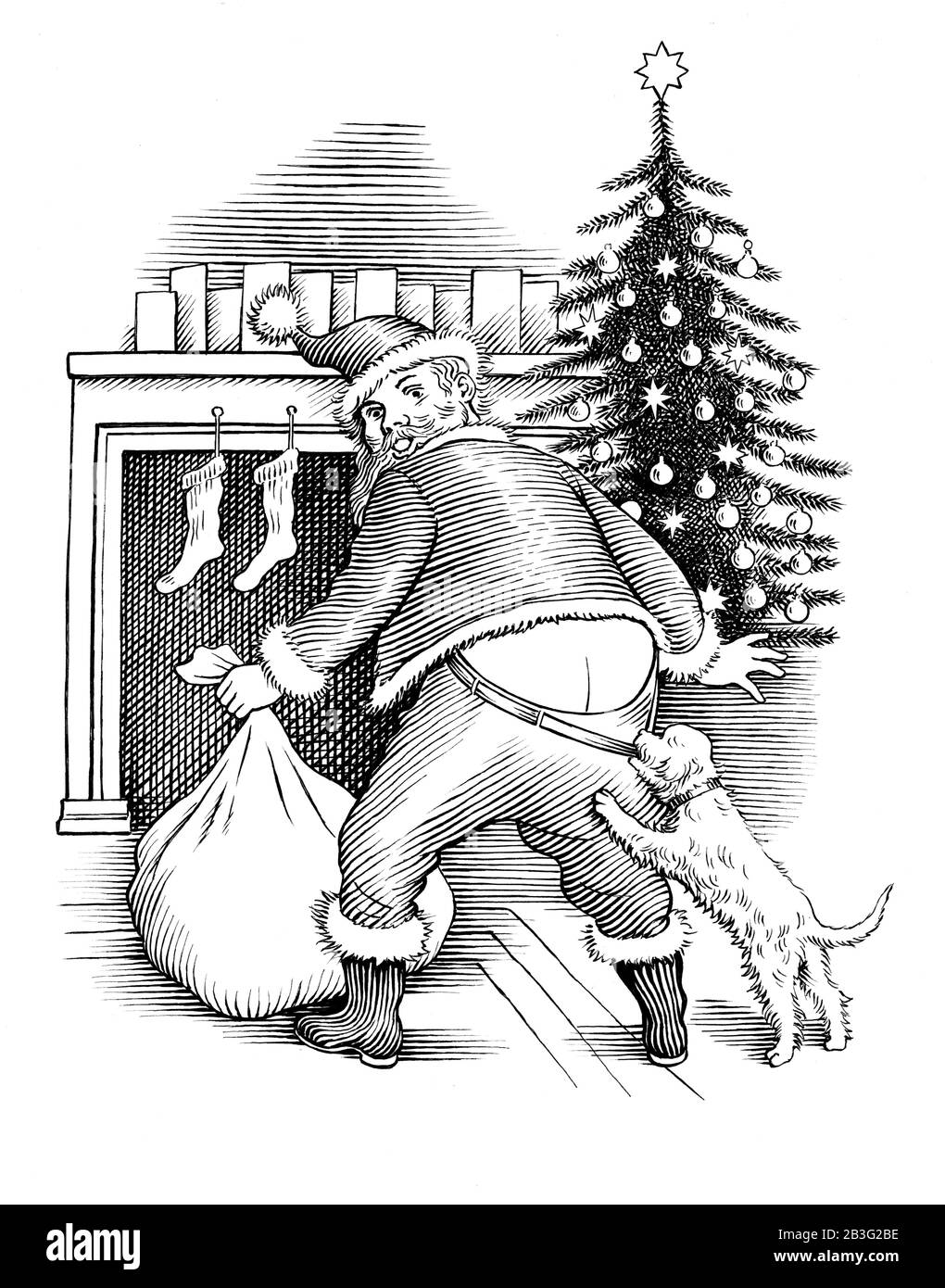 Dog pulling Santa's pants Stock Photo