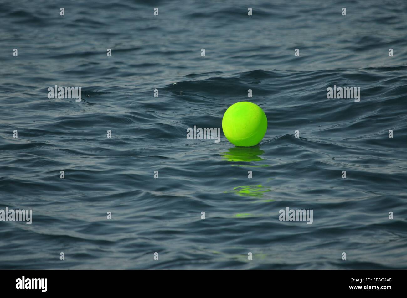 Neon green helium balloon floating in the Atlantic Ocean.  Balloons and other plastics can harm marine life by ingestion or entanglement. Stock Photo
