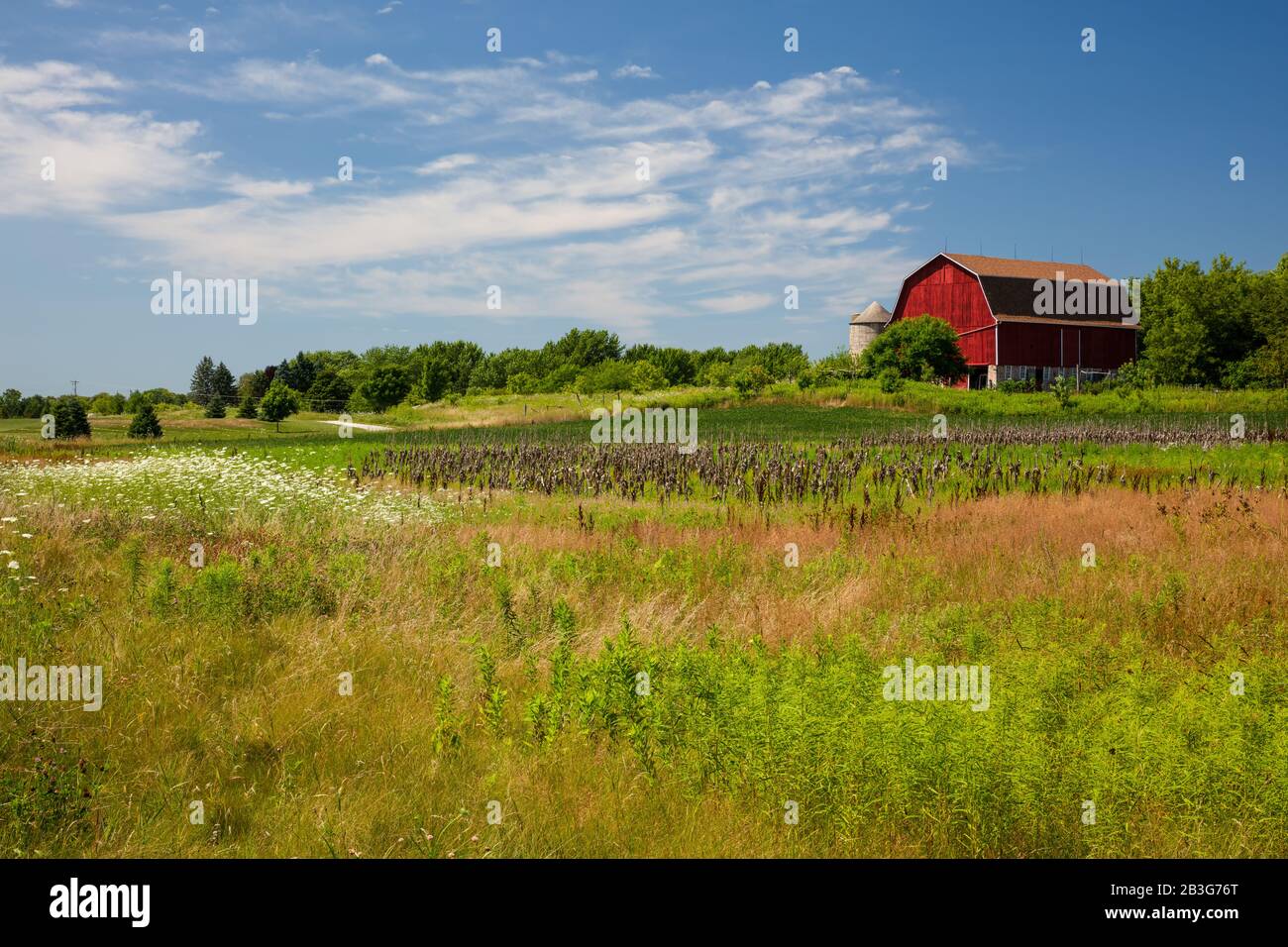 Acres of wildflowers hi-res stock photography and images - Alamy
