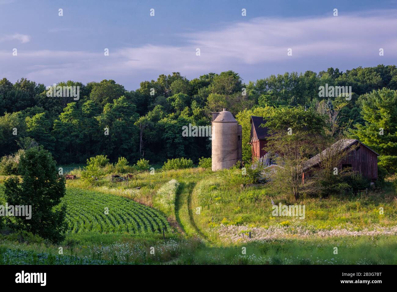 Barn, silo and field of crops on a farm, Ashippun, Dodge County, Wisconsin Stock Photo