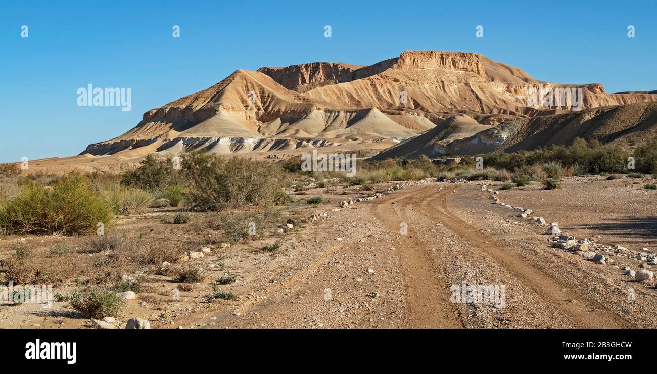the jeep road running through the nahal zin stream bed in the negev in israel with stunning barren desert mountains and blue sky in the background Stock Photo