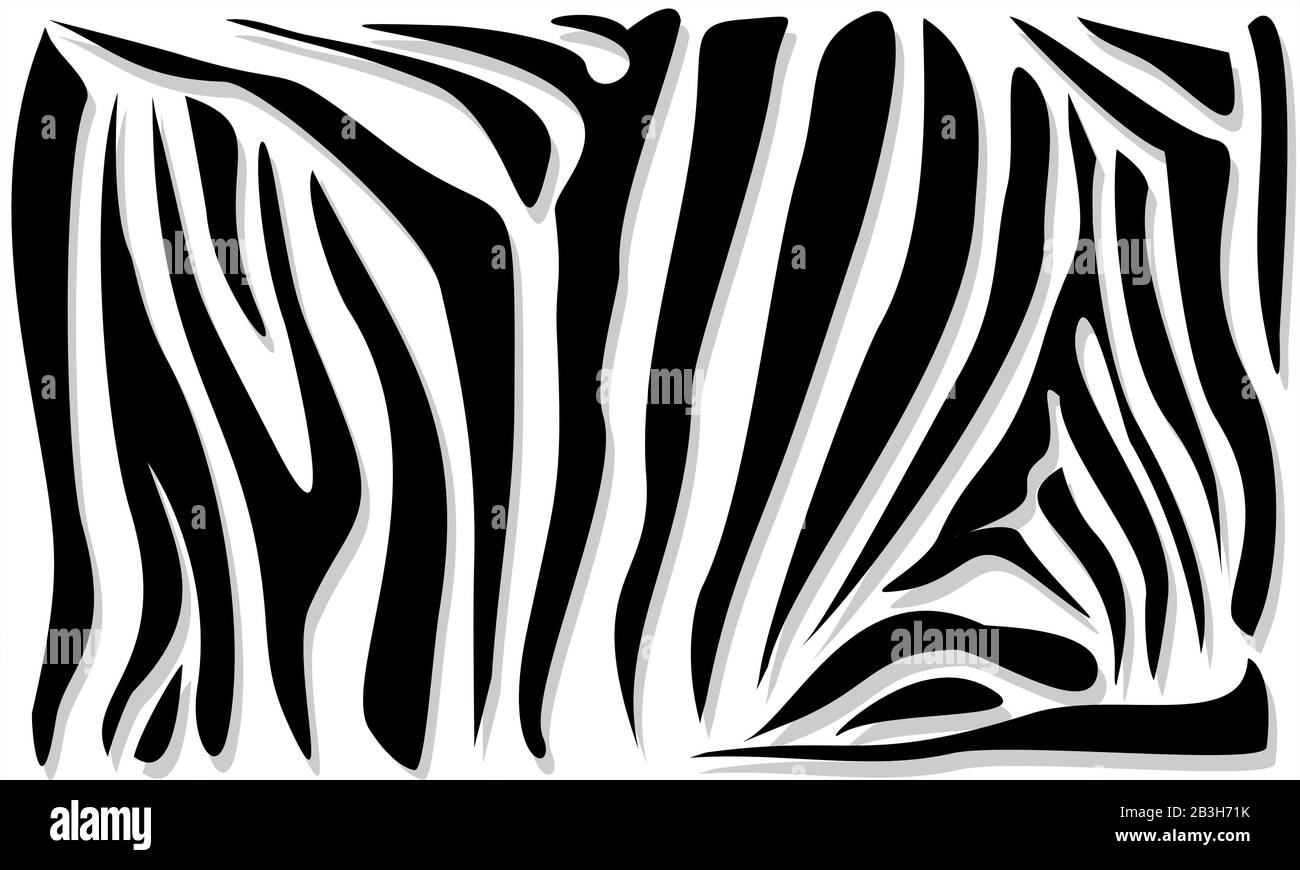 Abstract Zebra Pattern. Ornamental Geometric Pattern. Black and White Animal Skin Pattern, Background. Trendy Vector Wallpaper. Stock Vector
