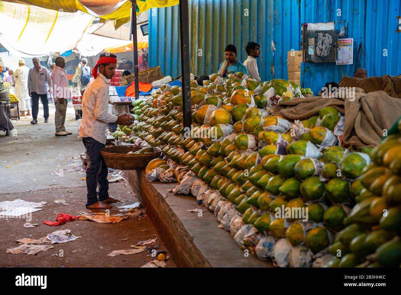 Papaya papayas india hires stock photography and images Alamy