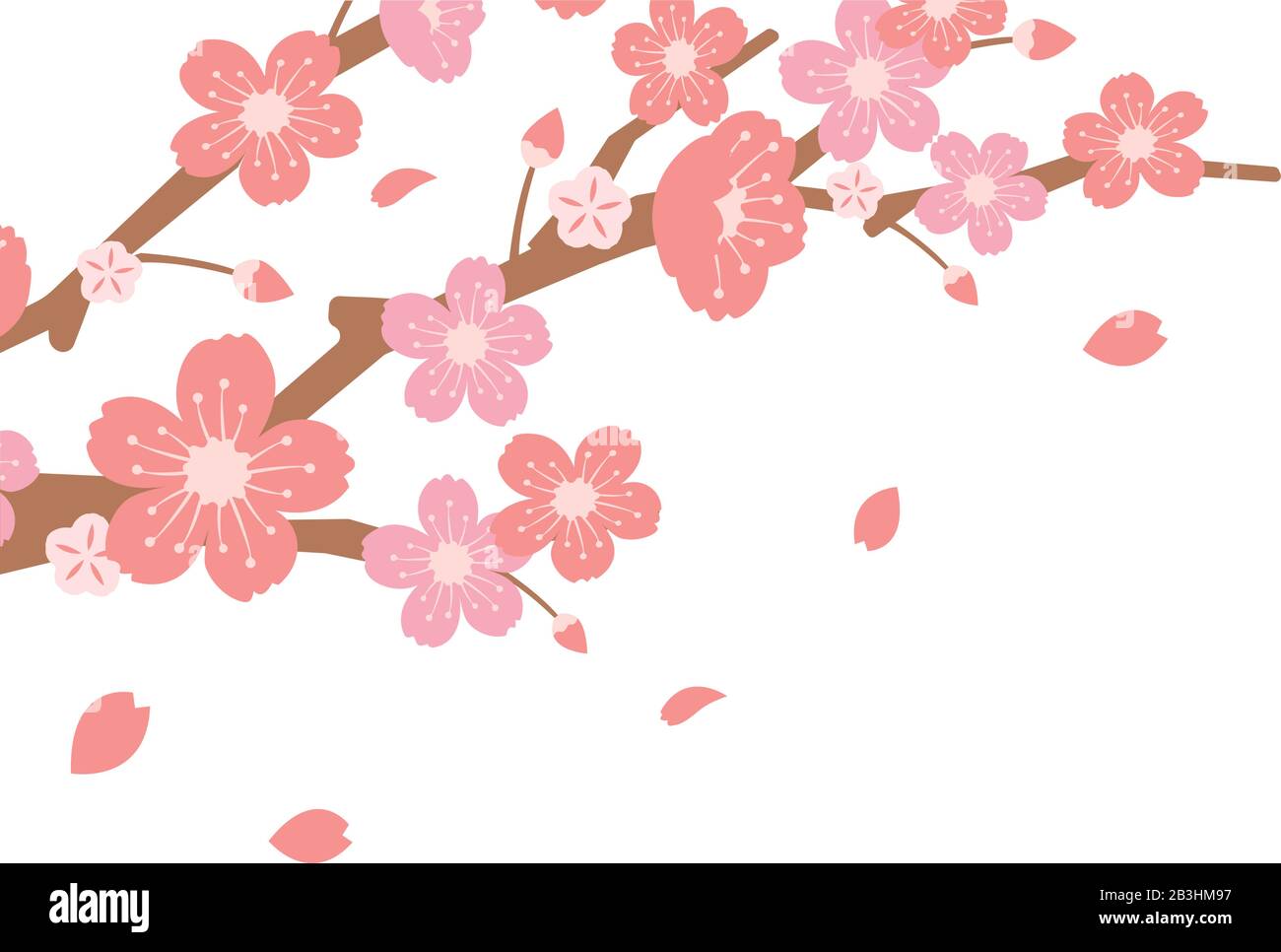 Cherry blossoms branches illustration (spring season theme ) Stock Vector