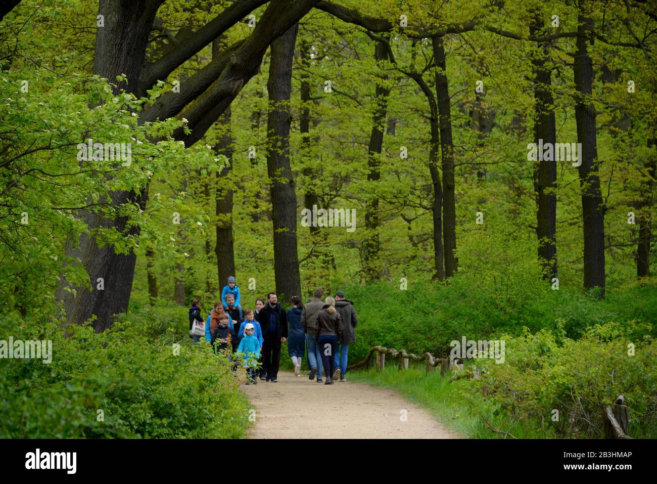 Spaziergang wald hi-res stock photography and images - Alamy
