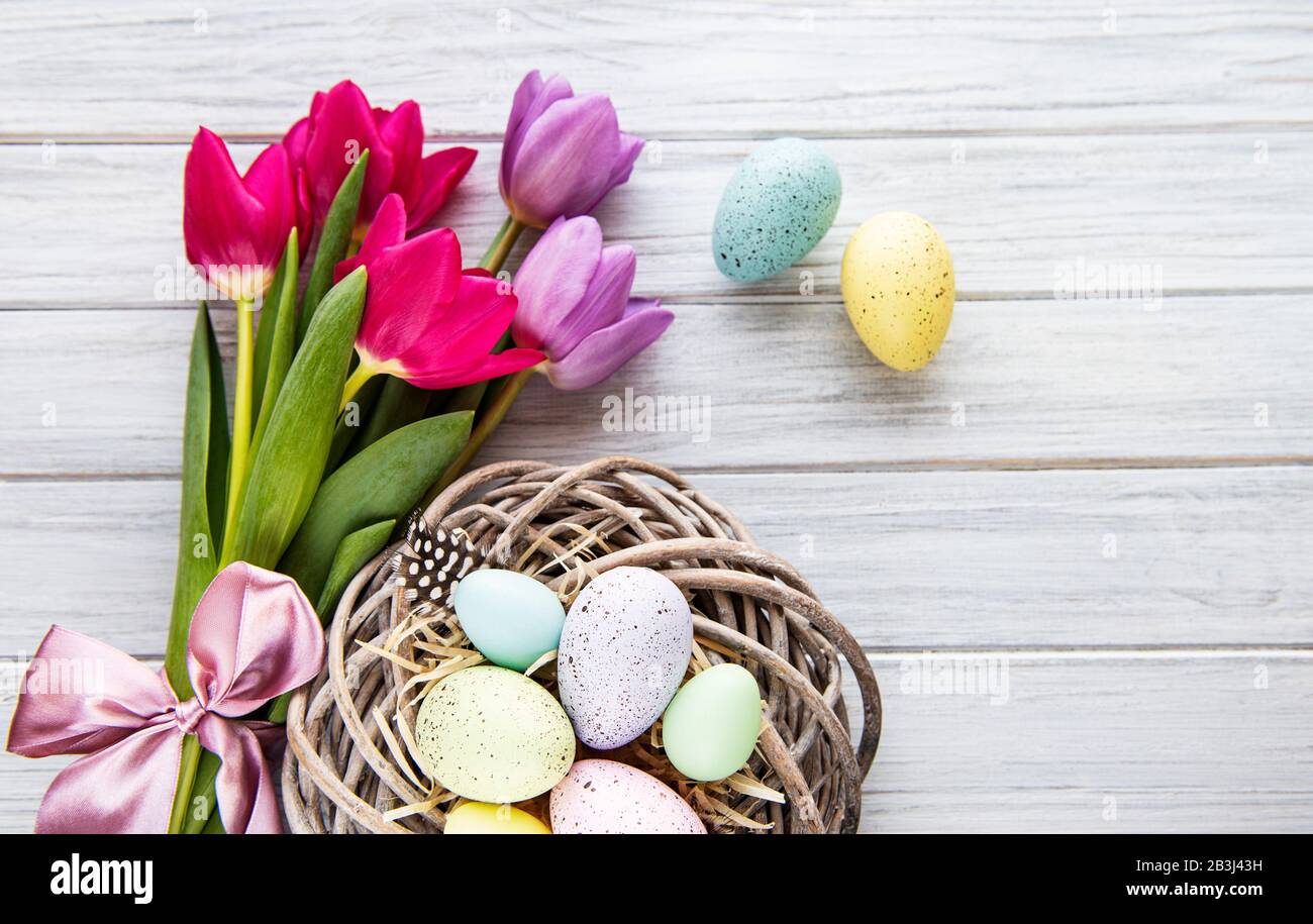Easter background with colorful eggs in nest and pink tulips on a white ...