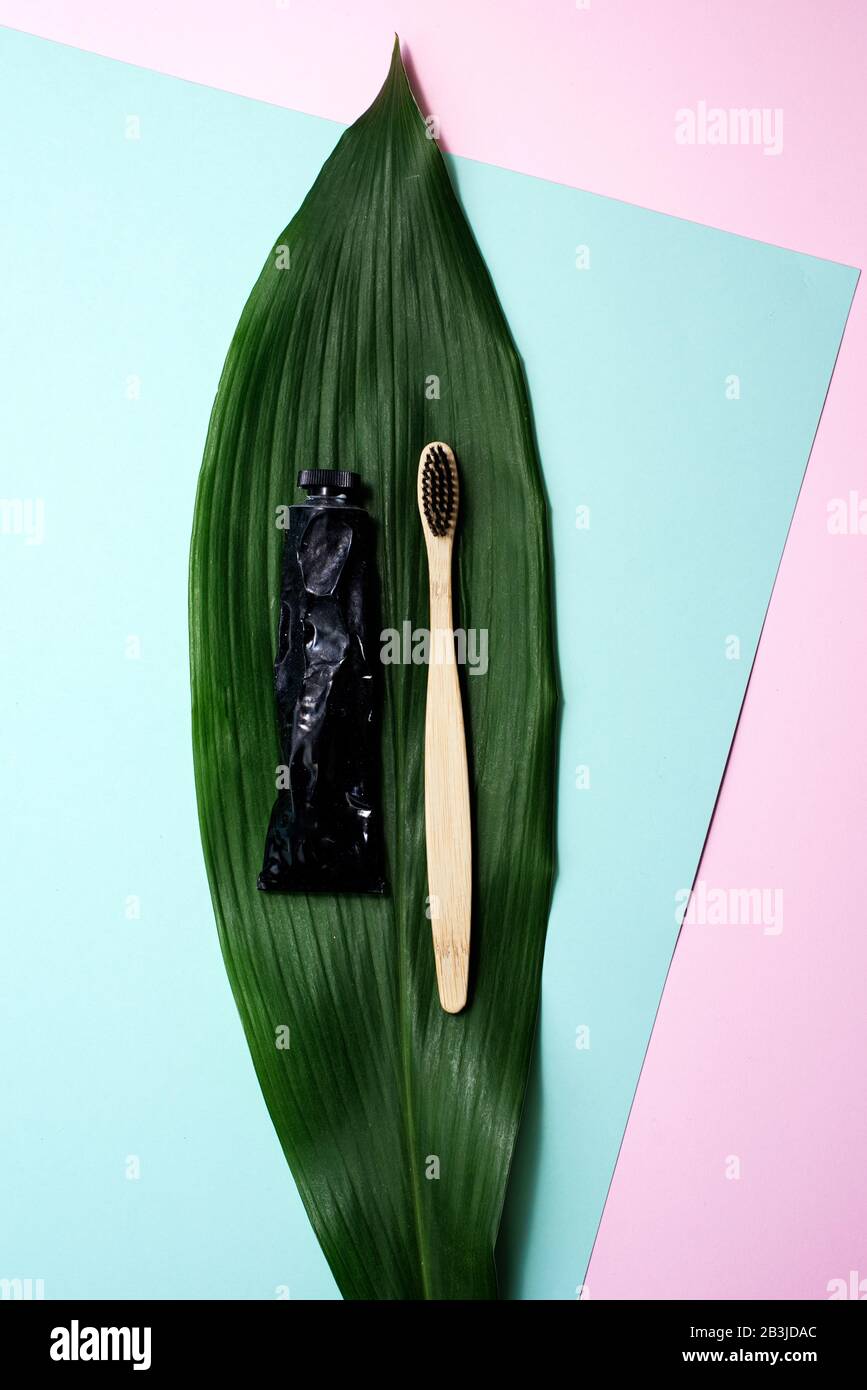 Bamboo wooden brush and toothpaste in a metal tube on a natural palm ...