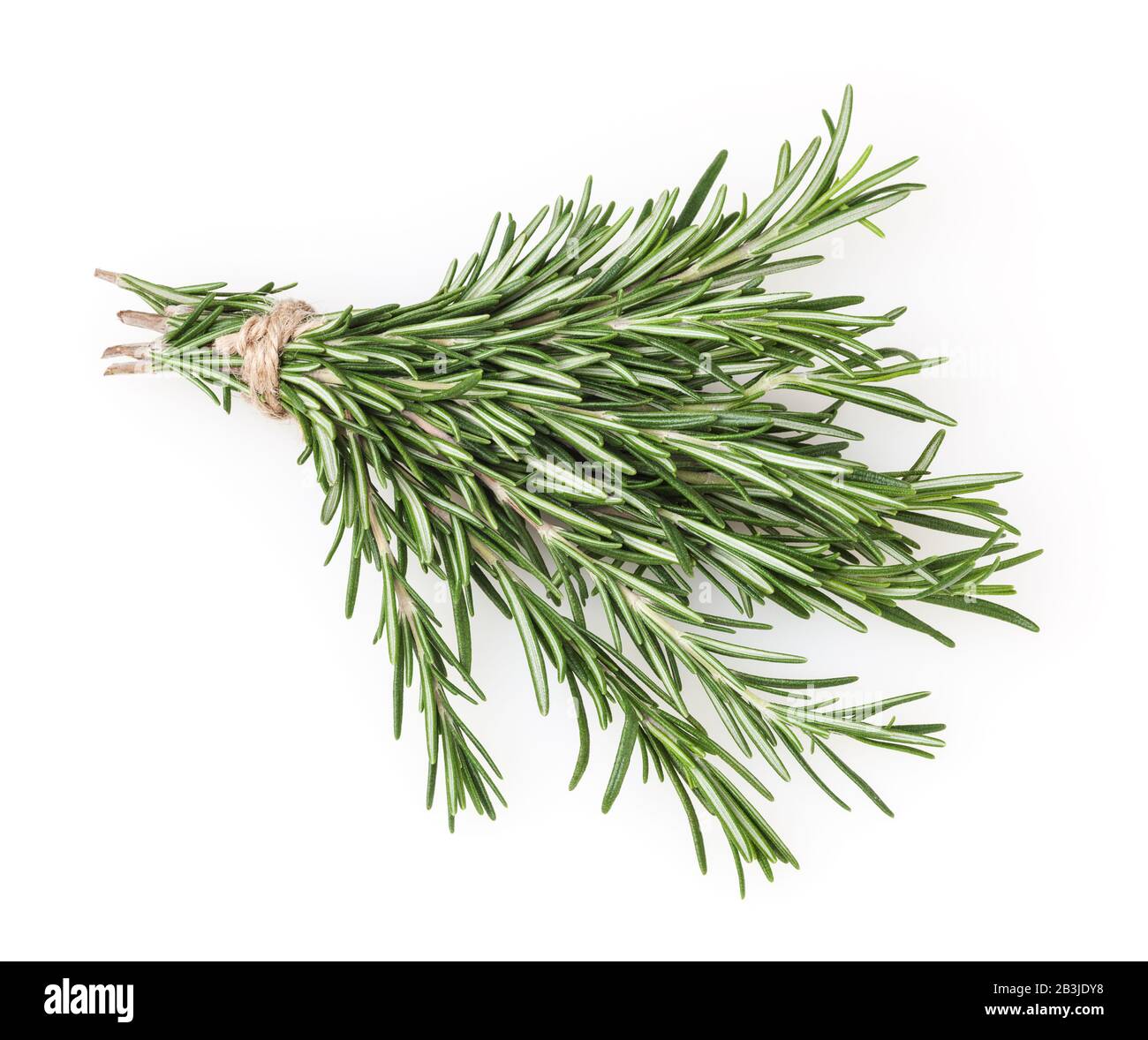 Fresh rosemary bunch isolated on white background Stock Photo - Alamy